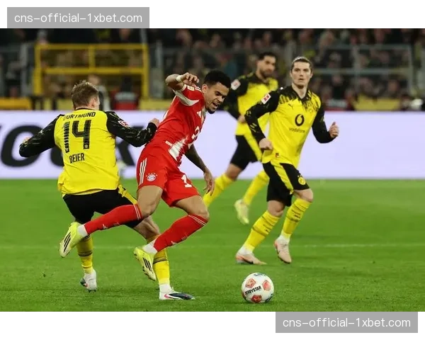 德甲与高校合作推出体育管理双学位项目